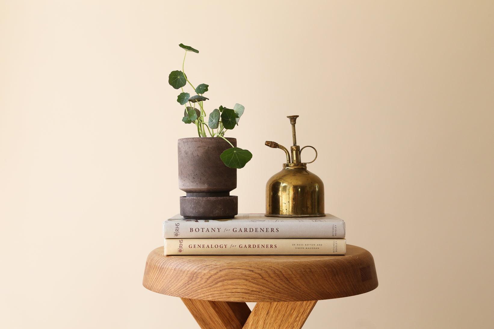 Vaso Hoff in terracotta grezza /grigio