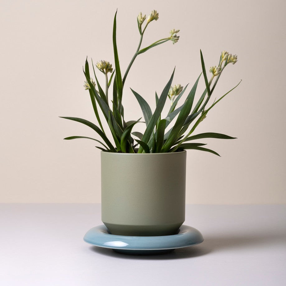 Vaso LILY /sage green