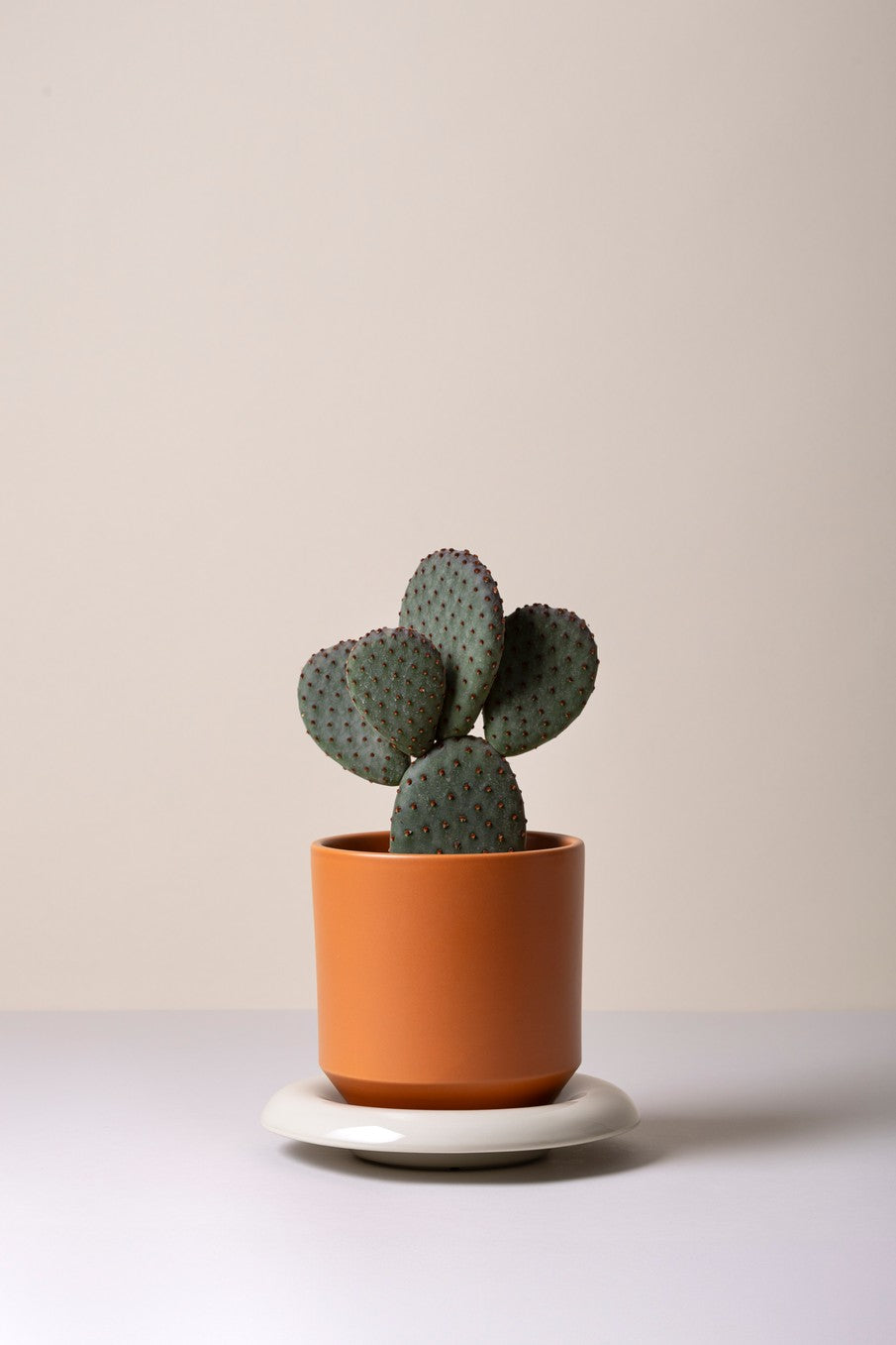 Sottovaso LILY /sandstone