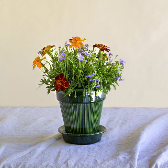 Vaso Simona in terracotta smaltata
