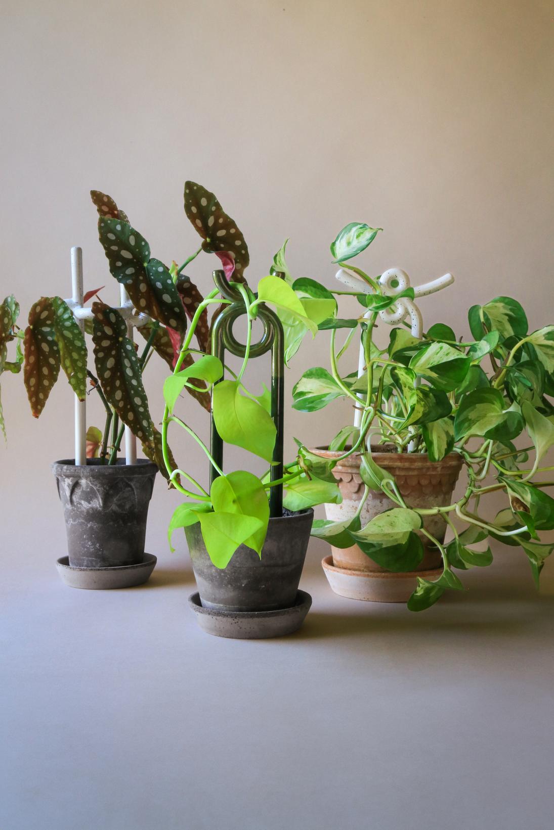 Mini supporto per piante ONI