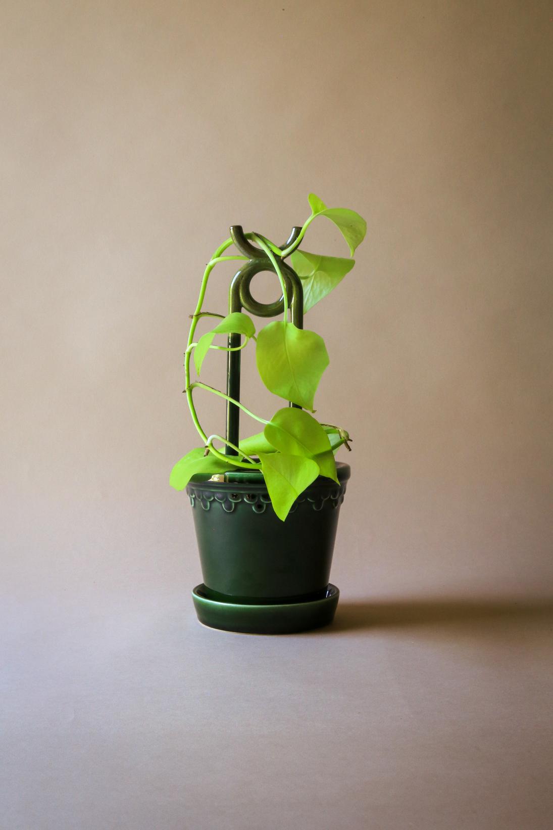 Mini supporto per piante ONI