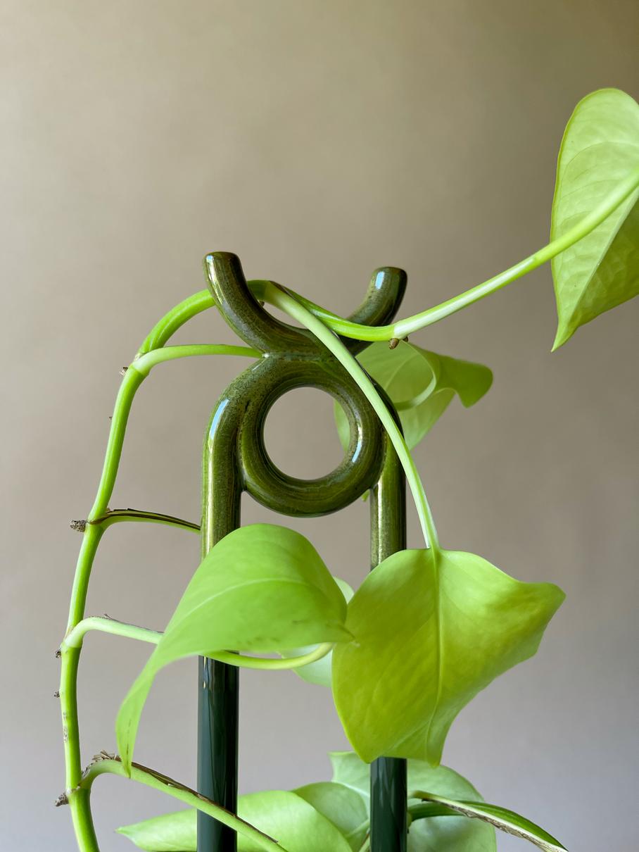 Mini supporto per piante ONI