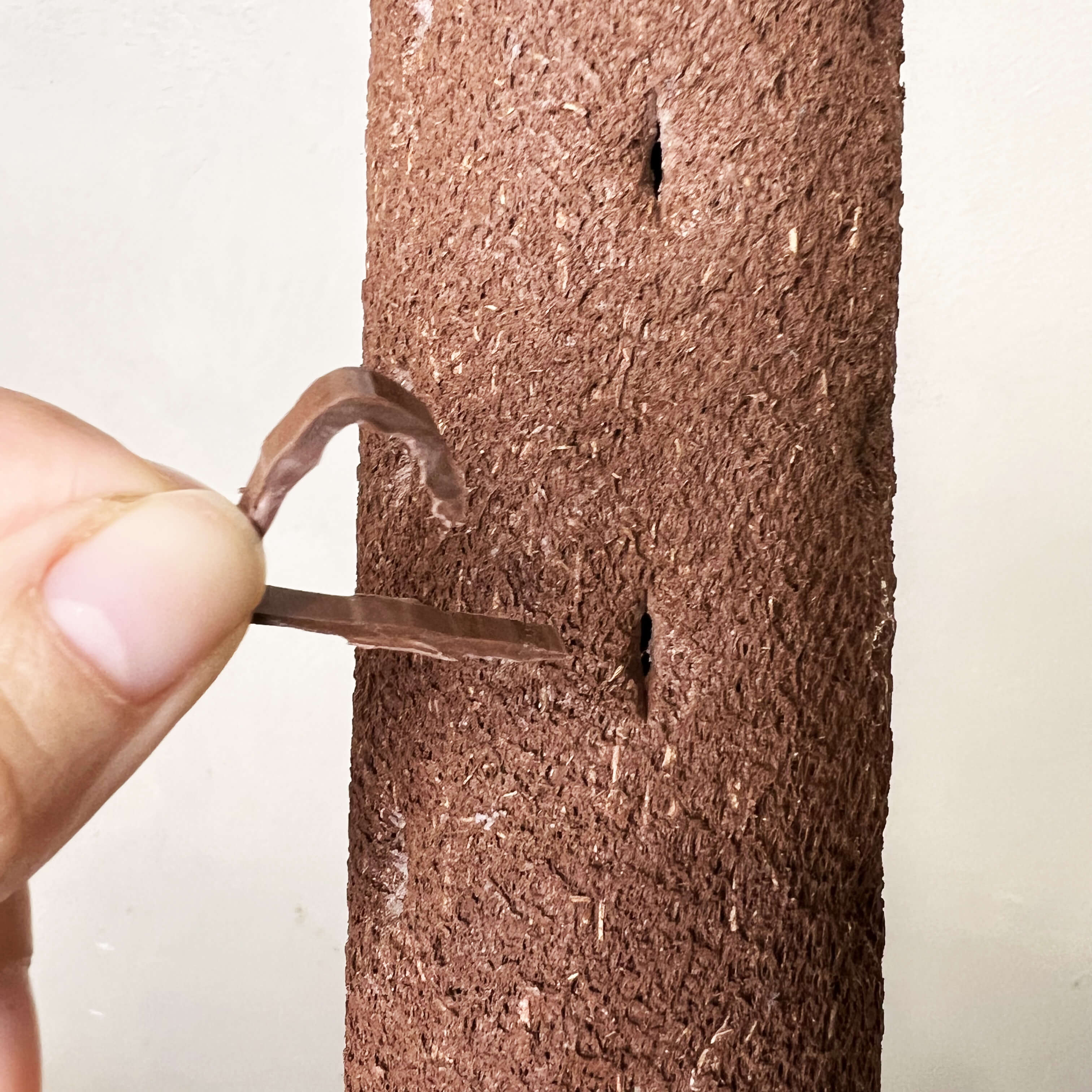Bastone di sostegno compostabile H 120