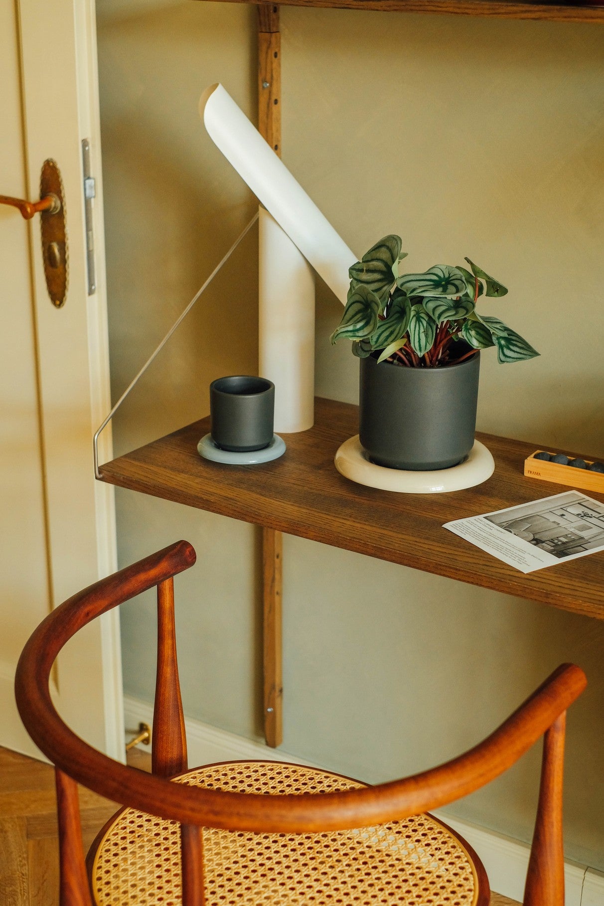 Vaso LILY /forest night