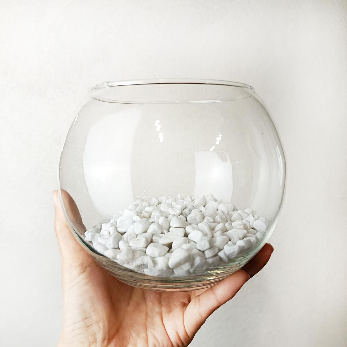 Bowl in vetro per Marimo