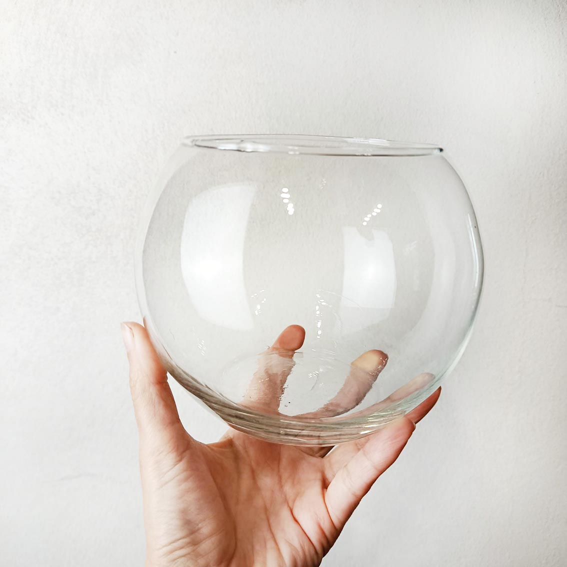 Bowl in vetro per Marimo