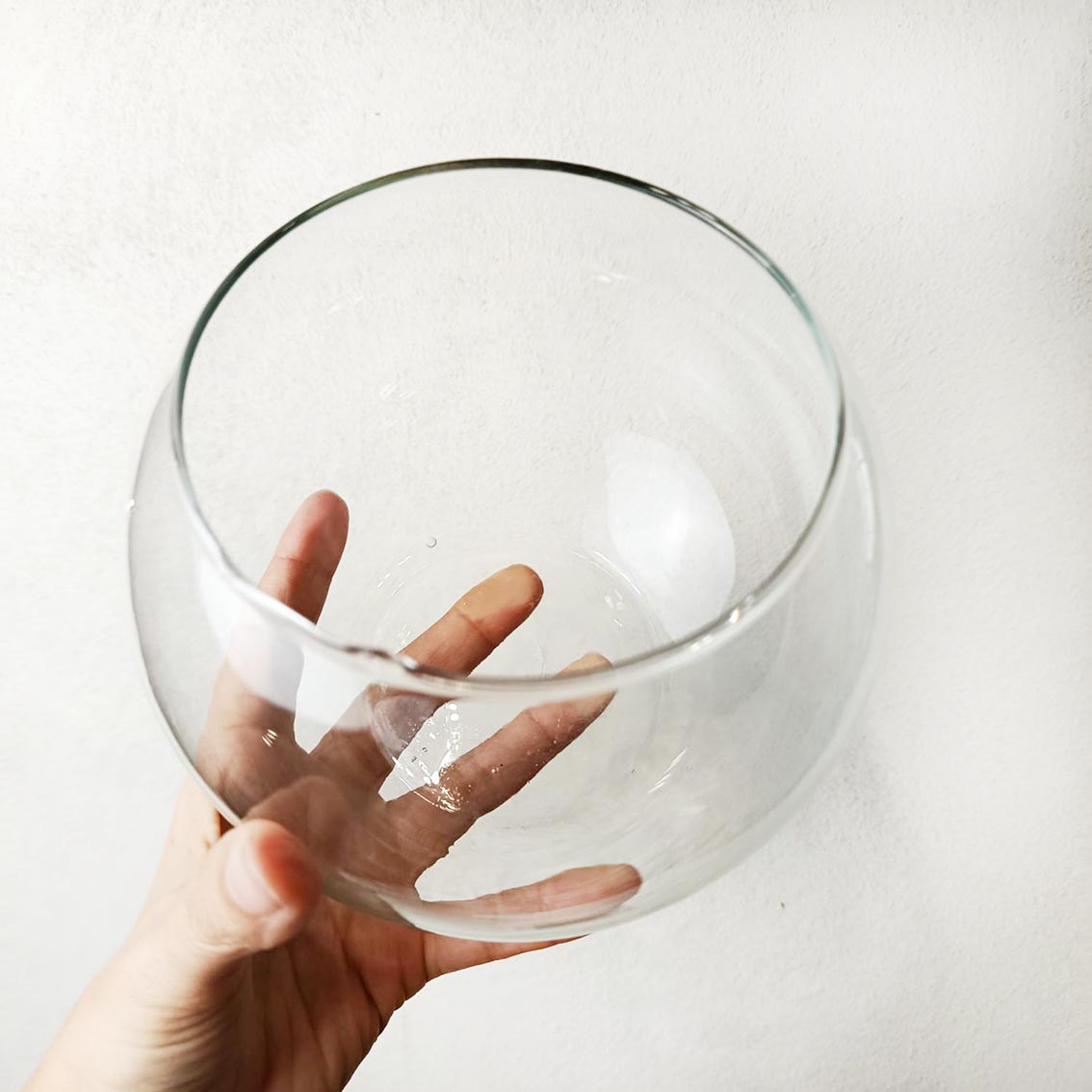 Bowl in vetro per Marimo