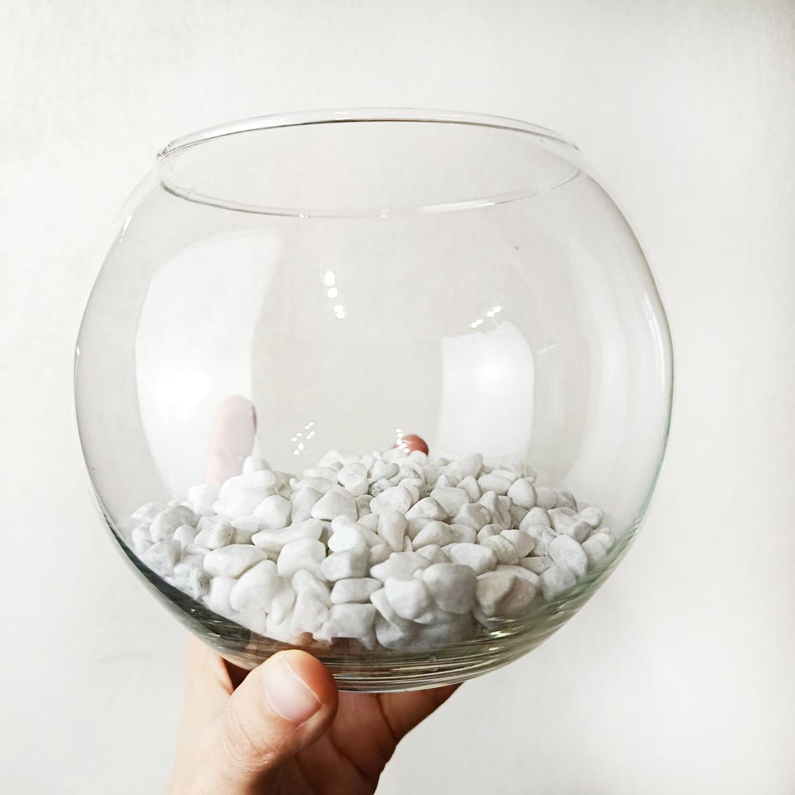 Bowl in vetro per Marimo