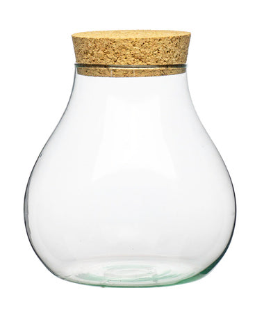 Contenitore in vetro per terrari / Julia