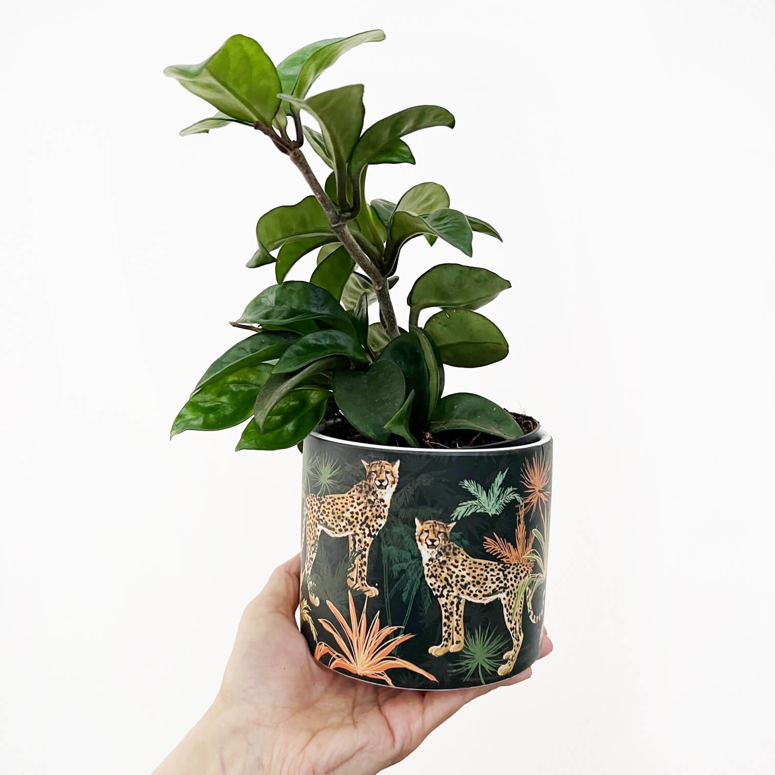 Portavaso Sauvage Nero