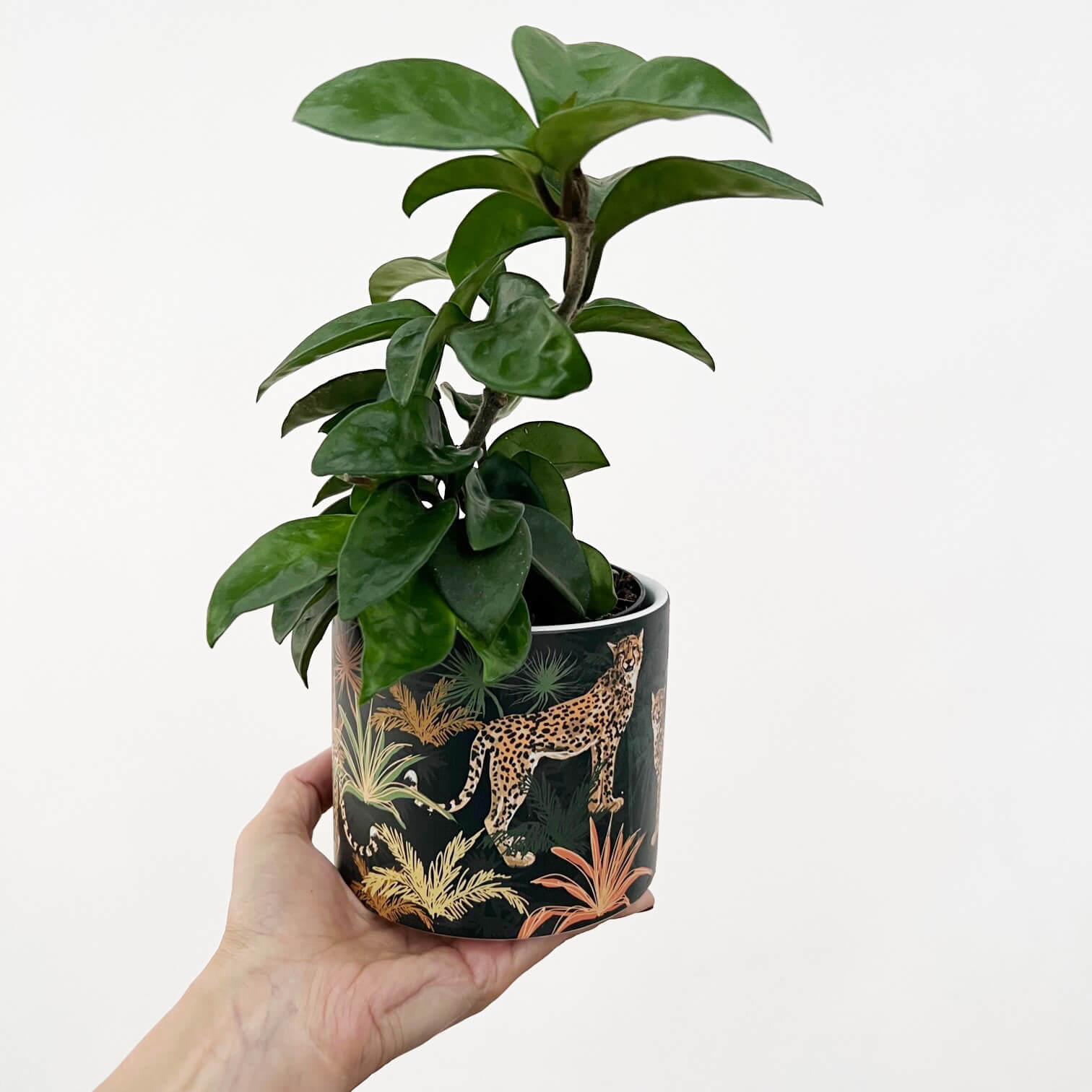 Portavaso Sauvage Nero