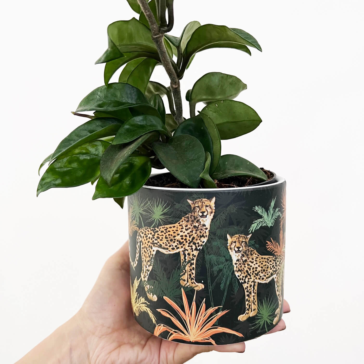 Portavaso Sauvage Nero
