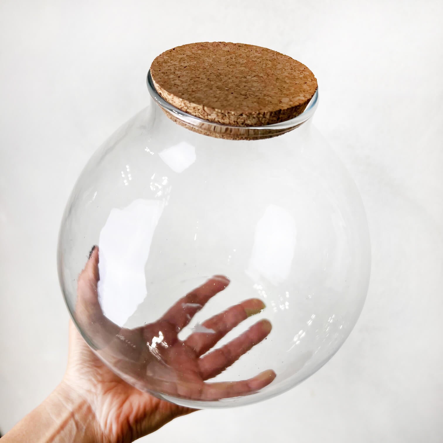 Contenitore in vetro per terrari /Damigella