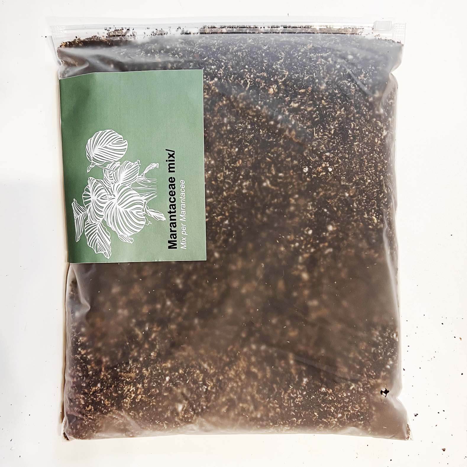 Mix per Marantaceae