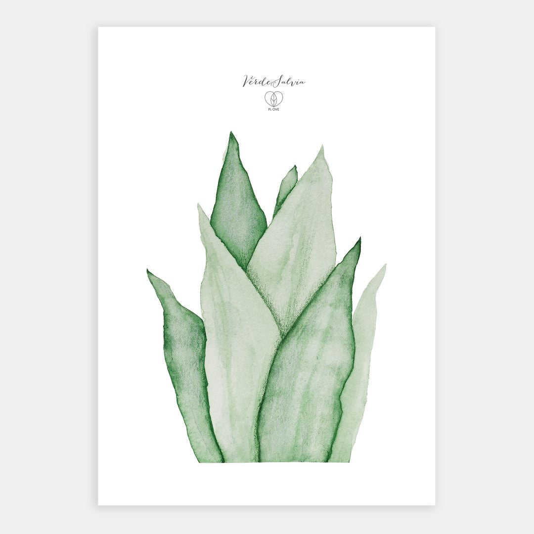 Libro + Stampa botanica