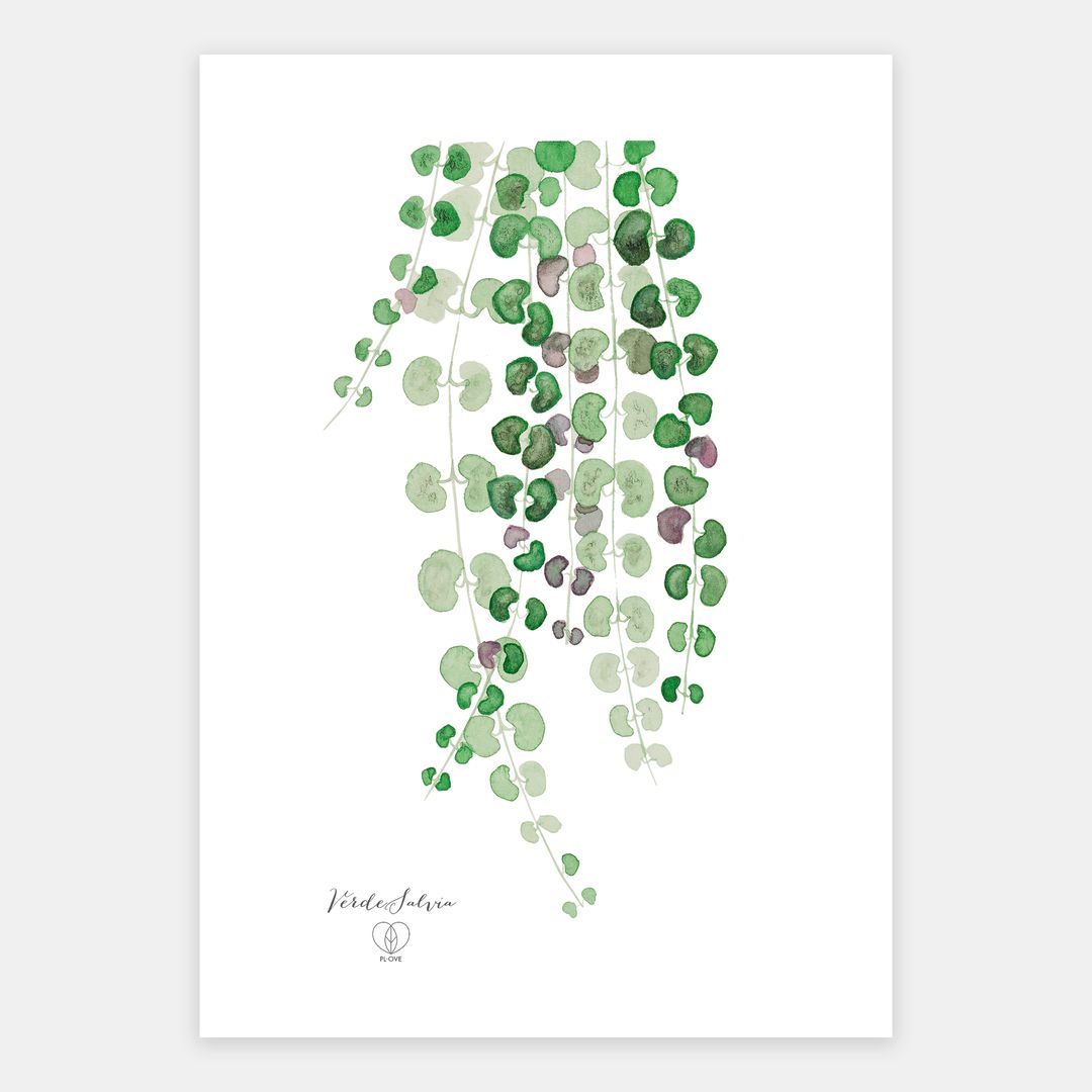 Libro + Stampa botanica