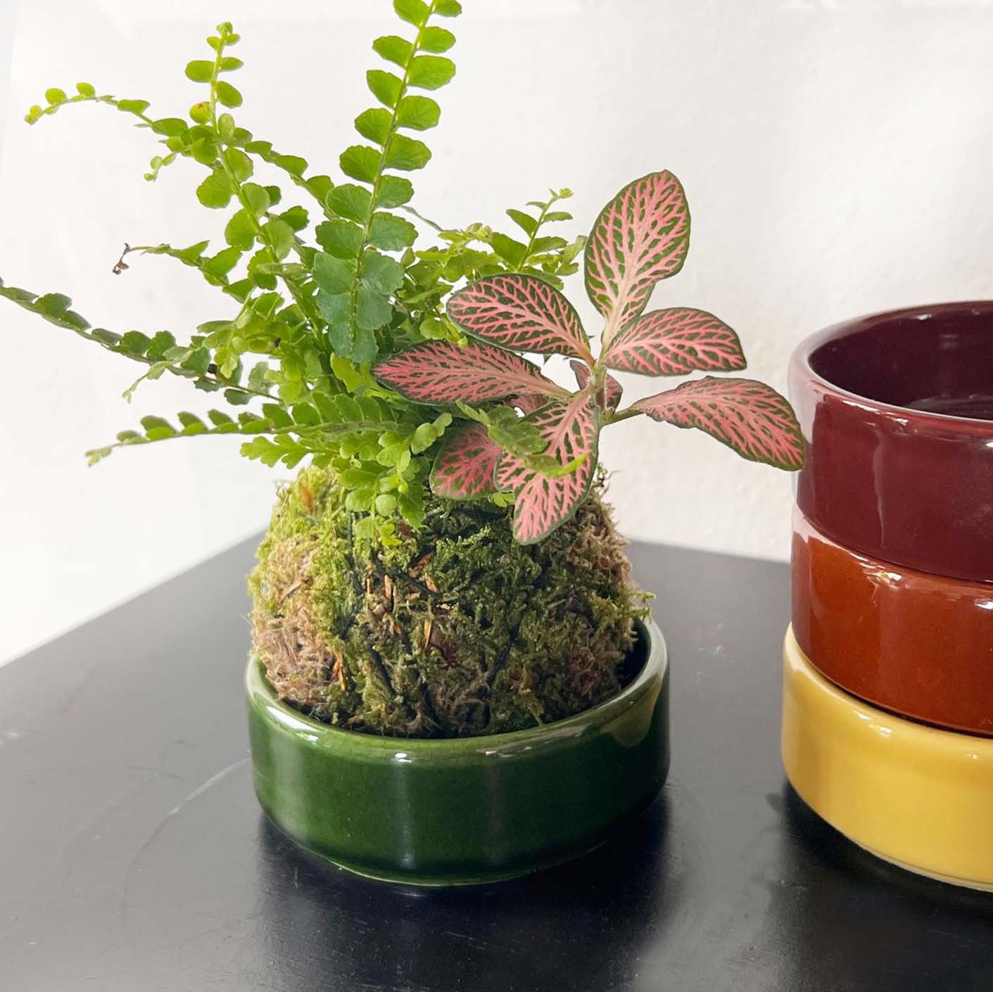 KOKET (KOKE-BOUQUET)-Olivia