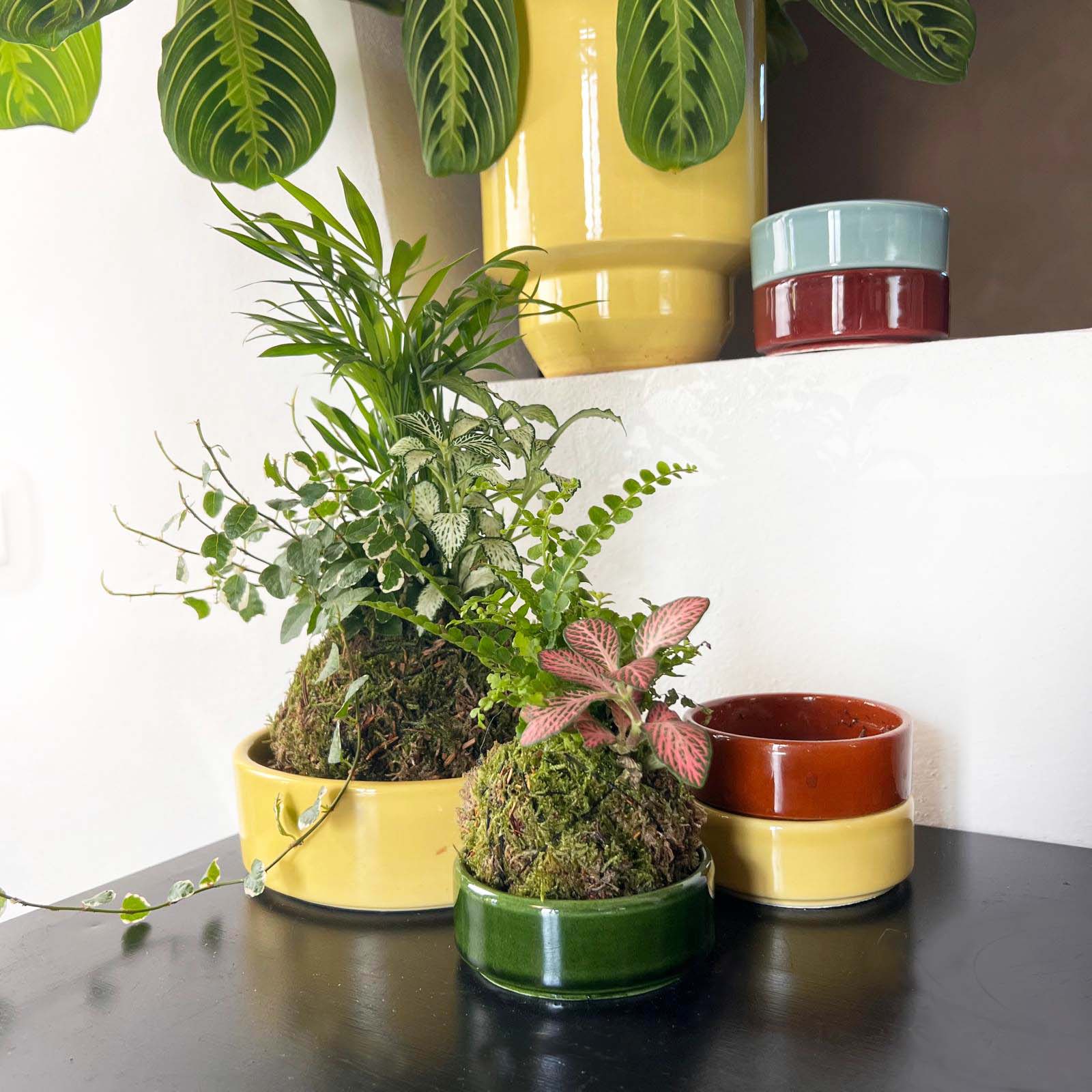 KOKET (KOKE-BOUQUET)-Olivia