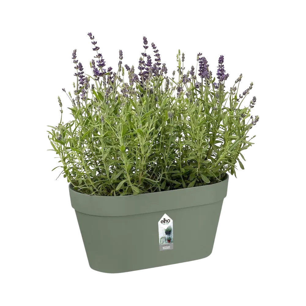 Loft green wall duo /green