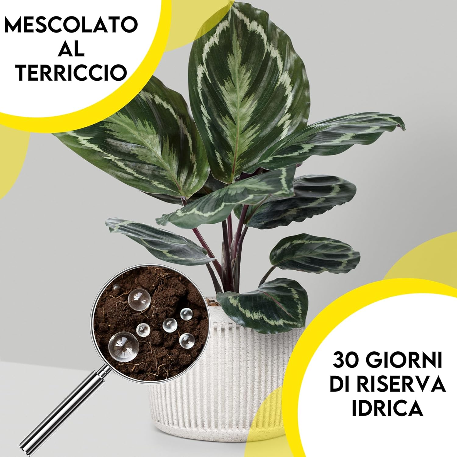 Sfere di acqua gel per piante