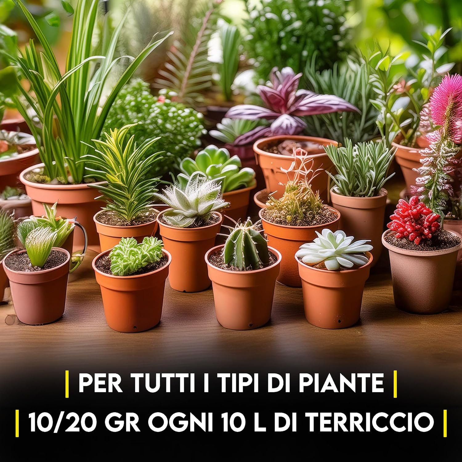 Sfere di acqua gel per piante