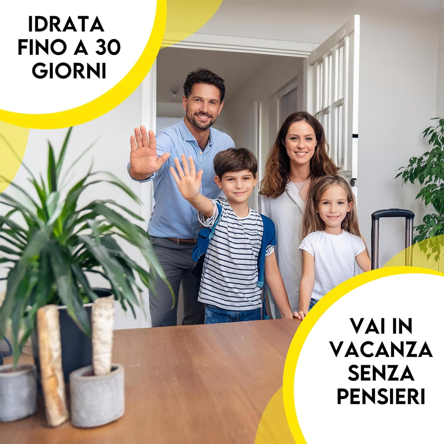 Sfere di acqua gel per piante