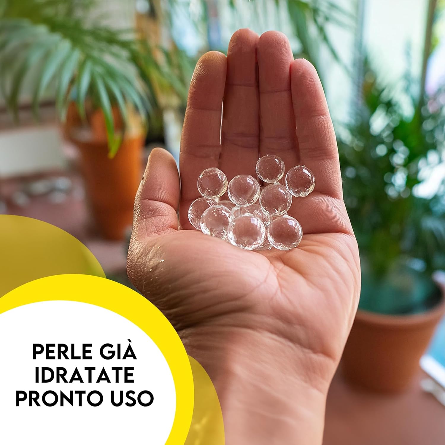 Sfere di acqua gel per piante
