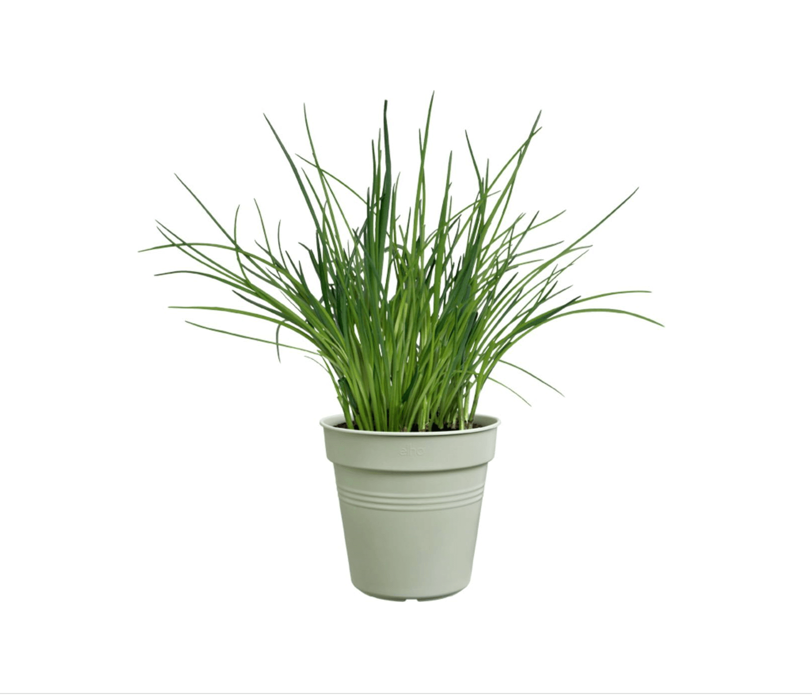 Growpot/Stone green
