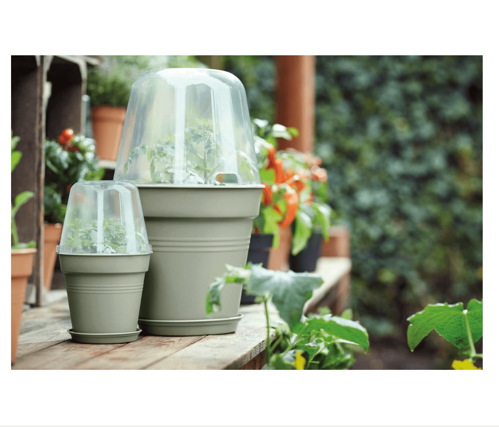 Growpot/Stone green