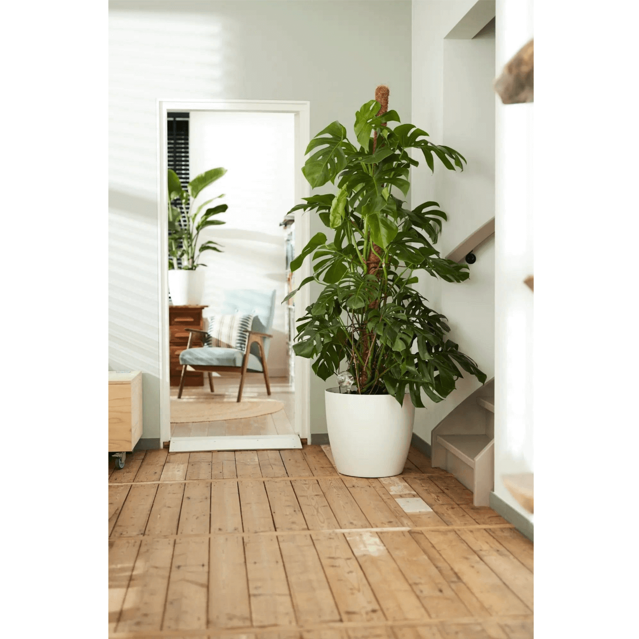 Brussels Round Wheels/ vaso con ruote