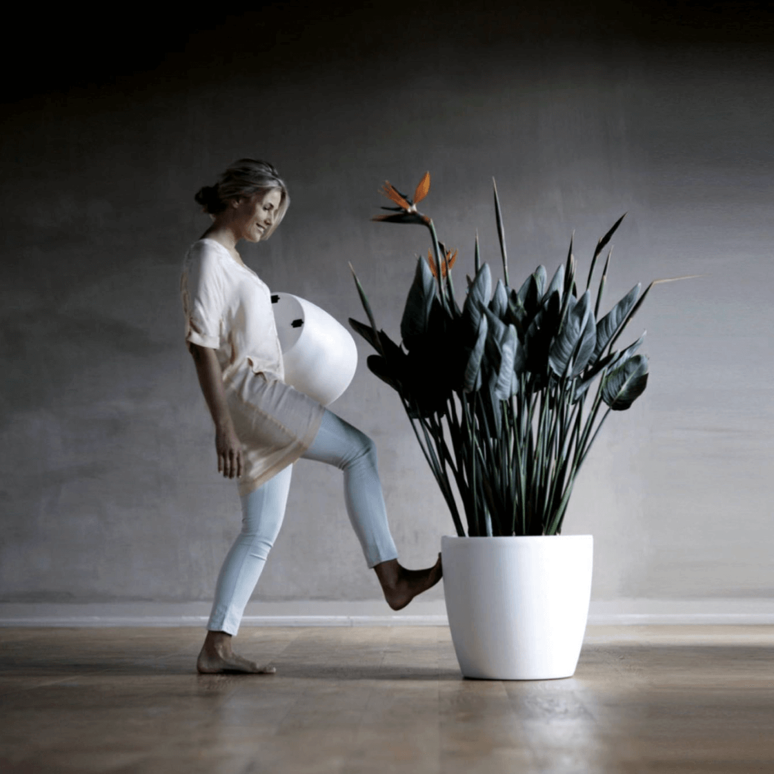 Brussels Round Wheels/ vaso con ruote