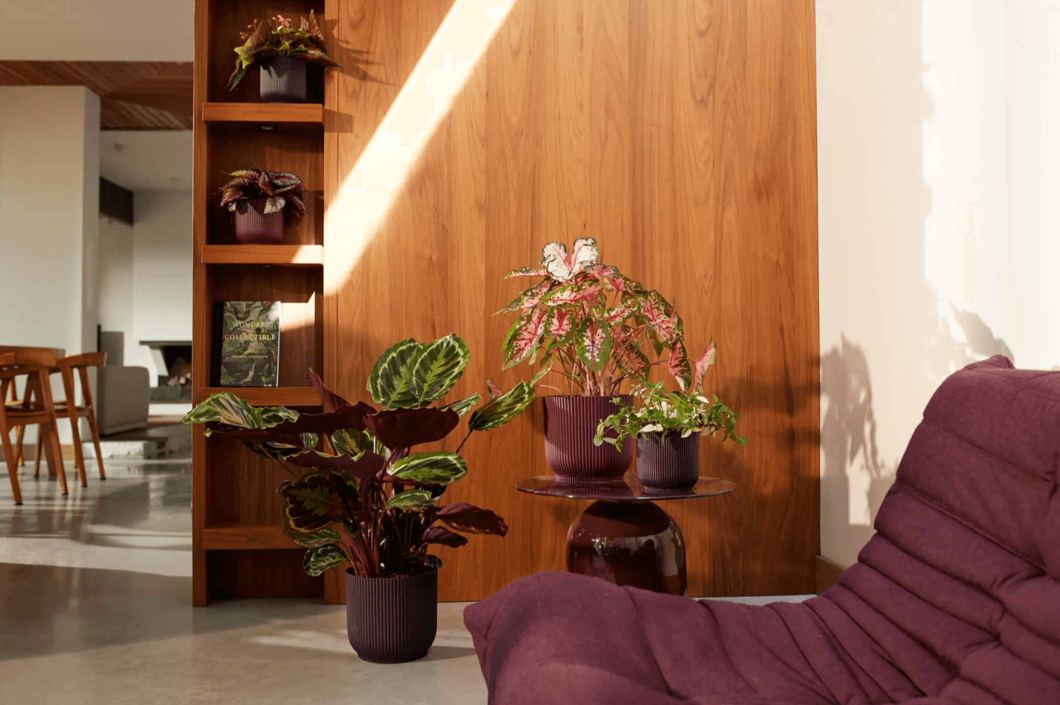 THE WINERY collection /rosso bordeaux