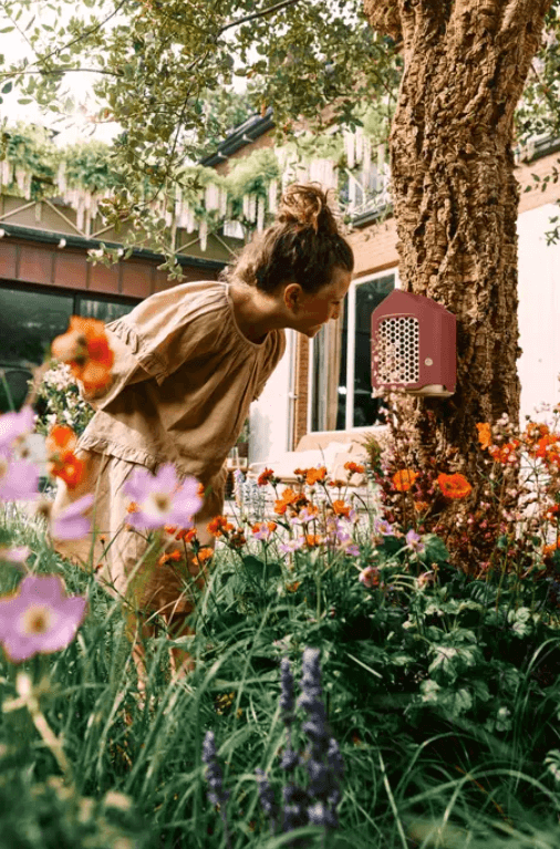 Hotel per insetti /Cosy insect hotel