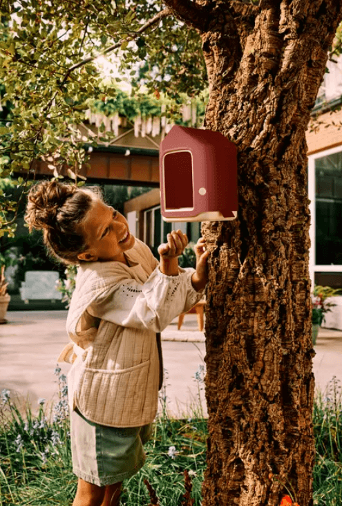 Mangiatoia per uccellini /Cosy bird feeder