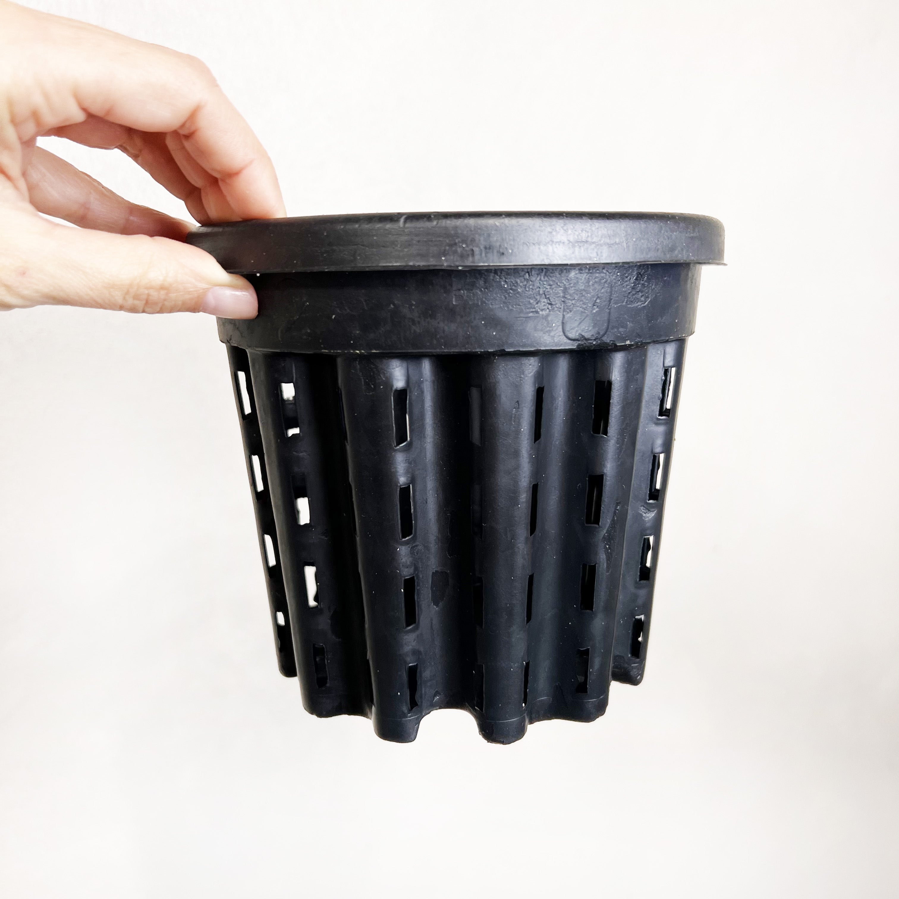 VASO ANTISPIRALIZZAZIONE RADICI