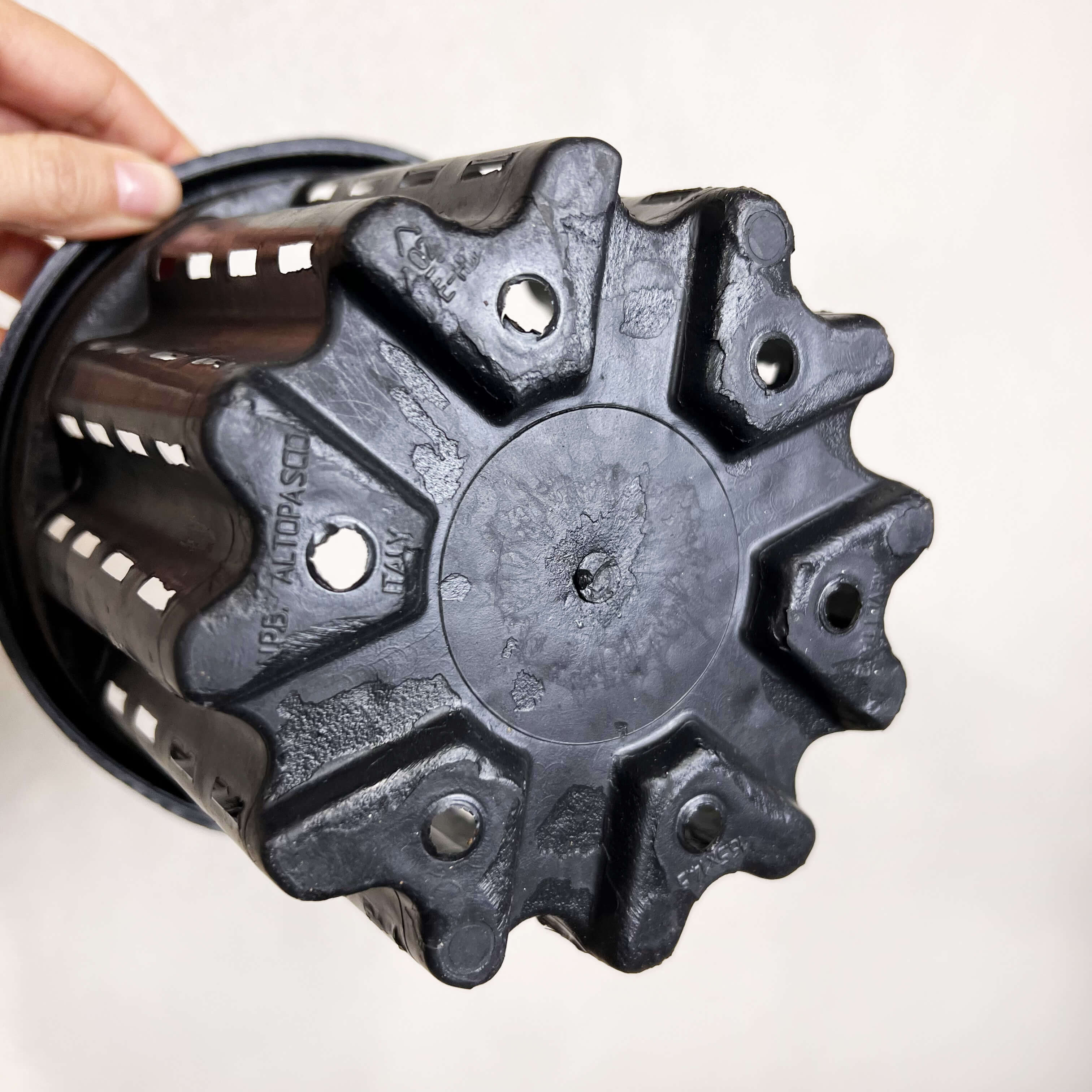 VASO ANTISPIRALIZZAZIONE RADICI