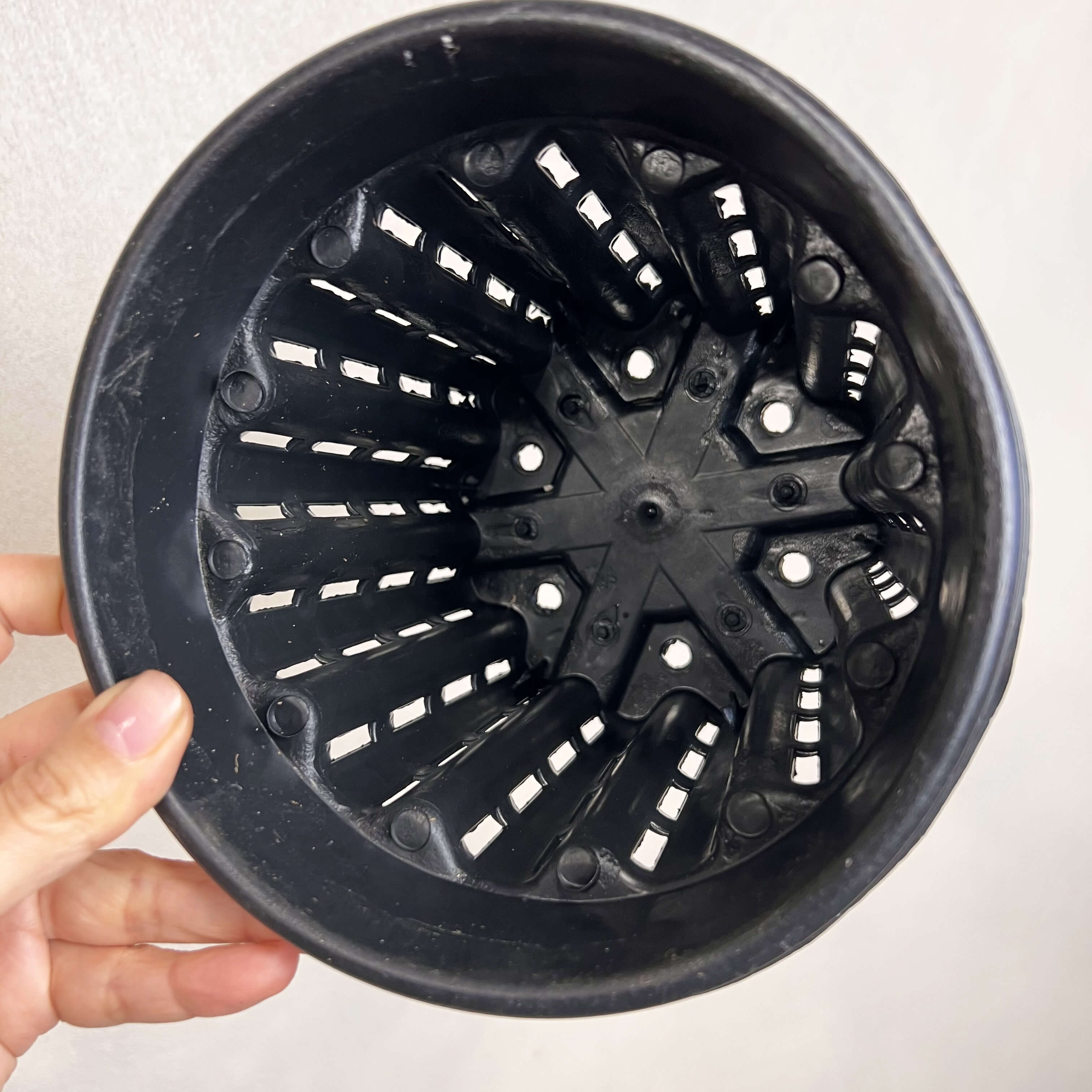 VASO ANTISPIRALIZZAZIONE RADICI