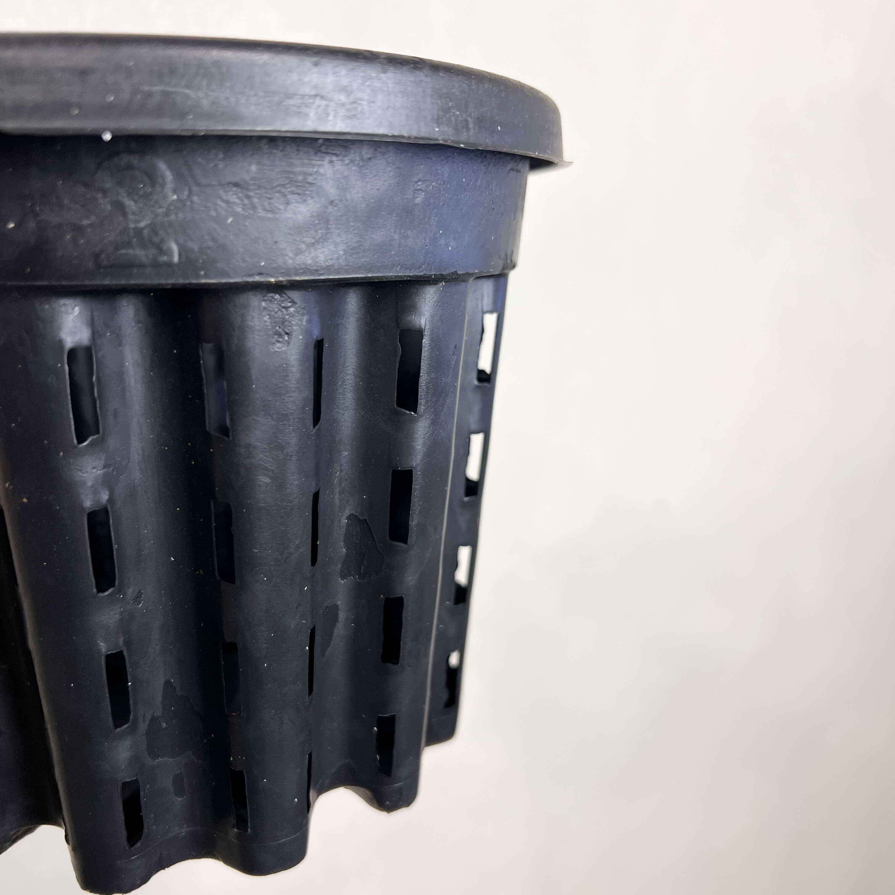 VASO ANTISPIRALIZZAZIONE RADICI