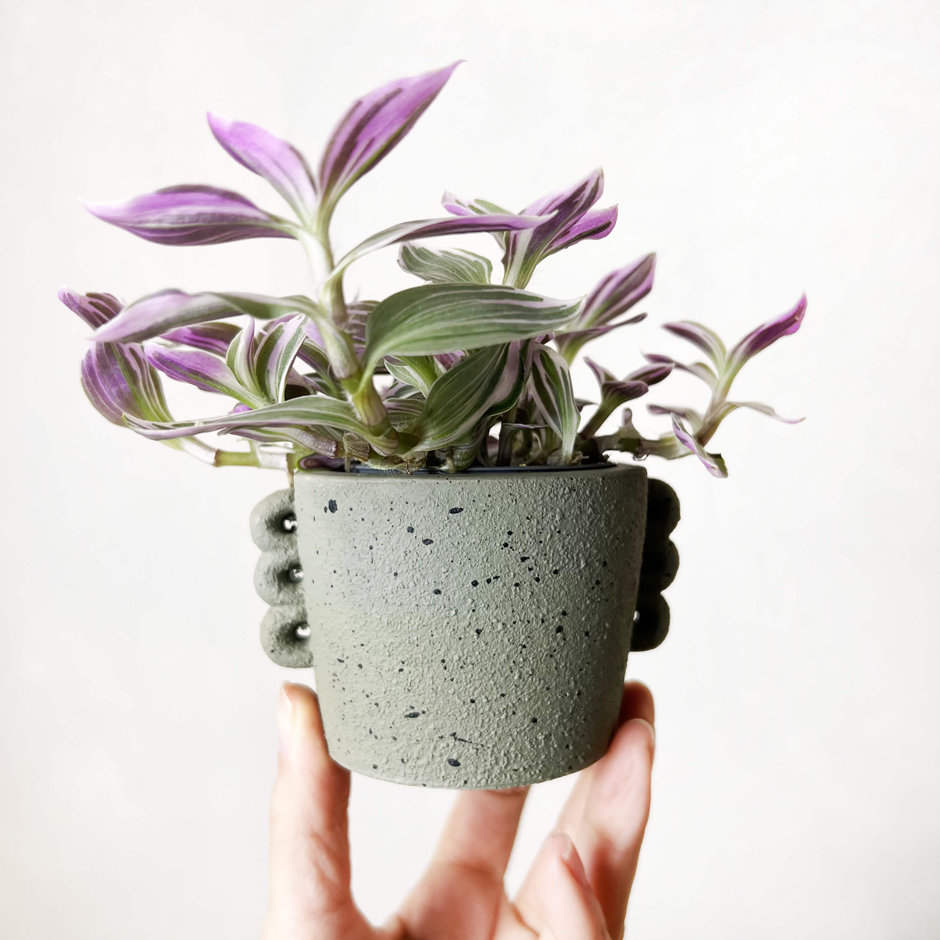 Vaso Archetto grigio taupe