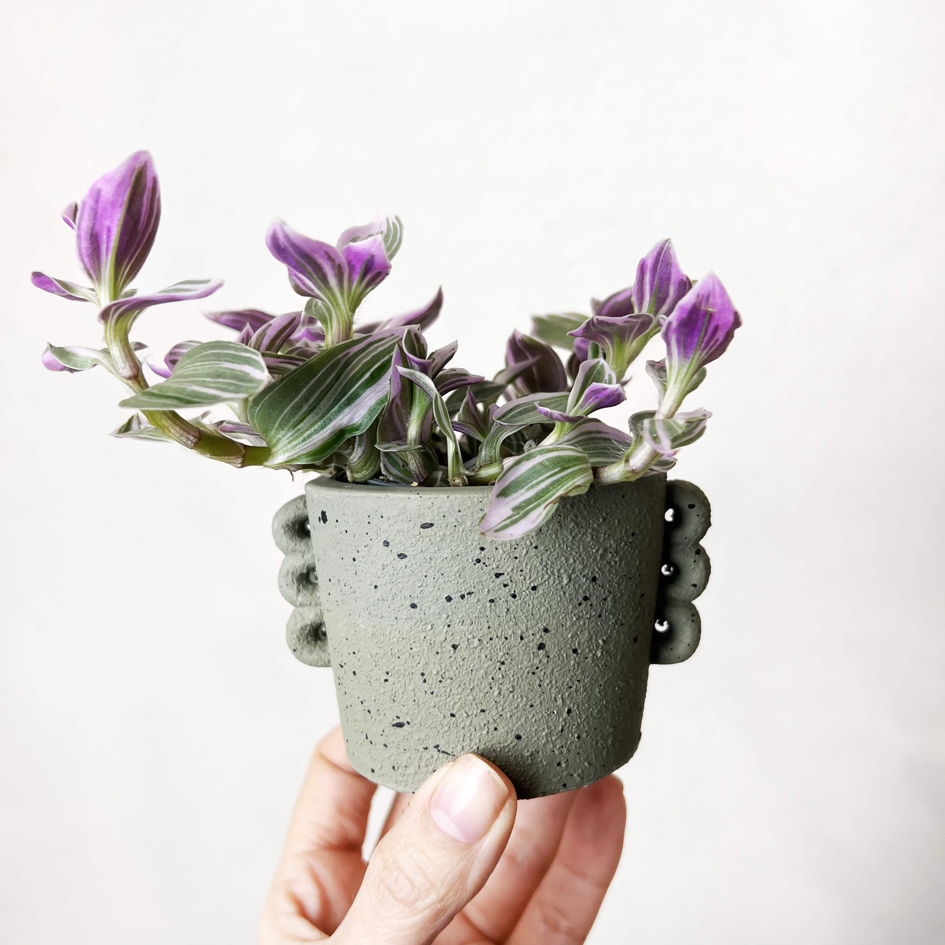 Vaso Archetto grigio taupe