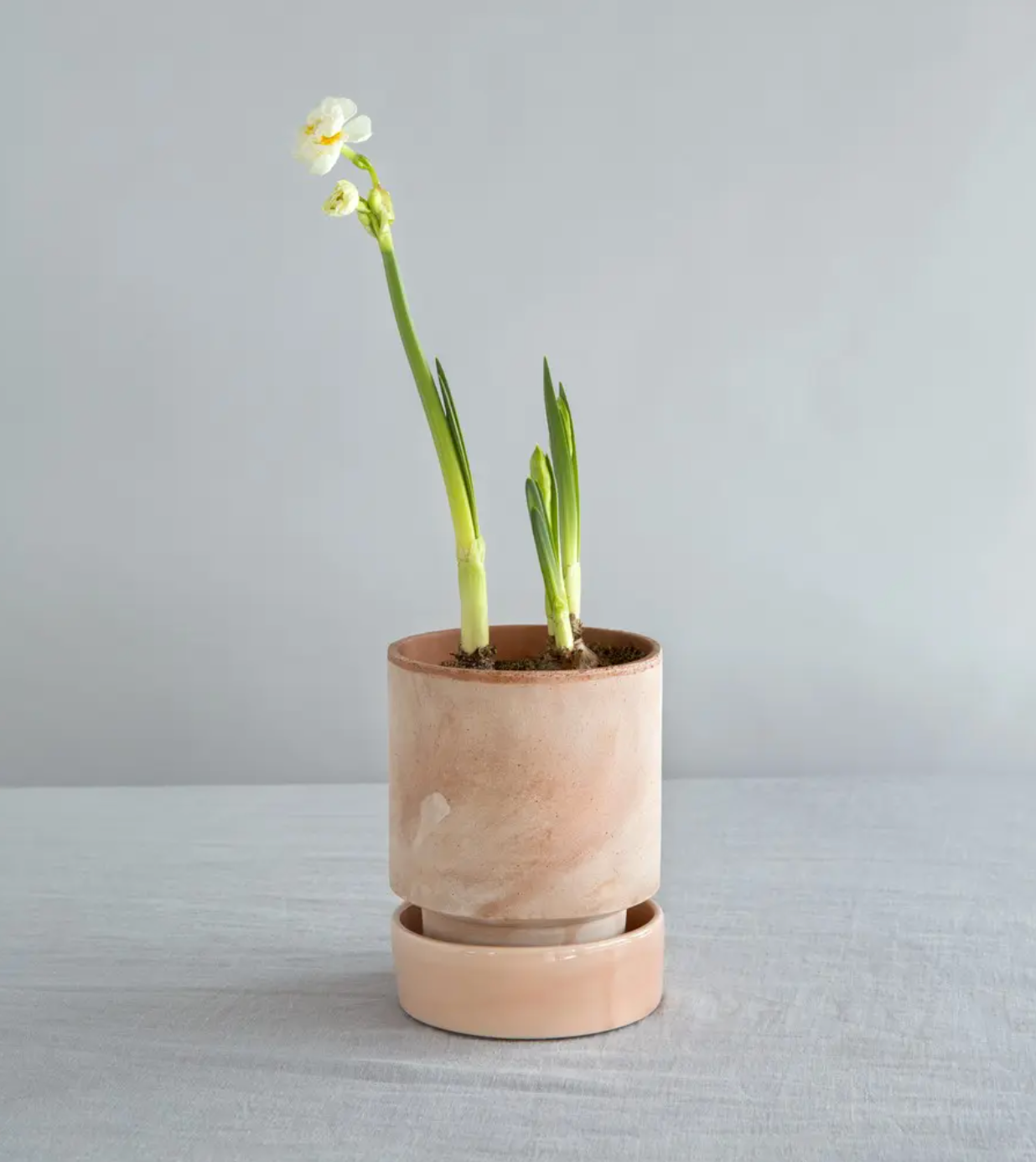 Vaso Hoff in terracotta grezza /rosa