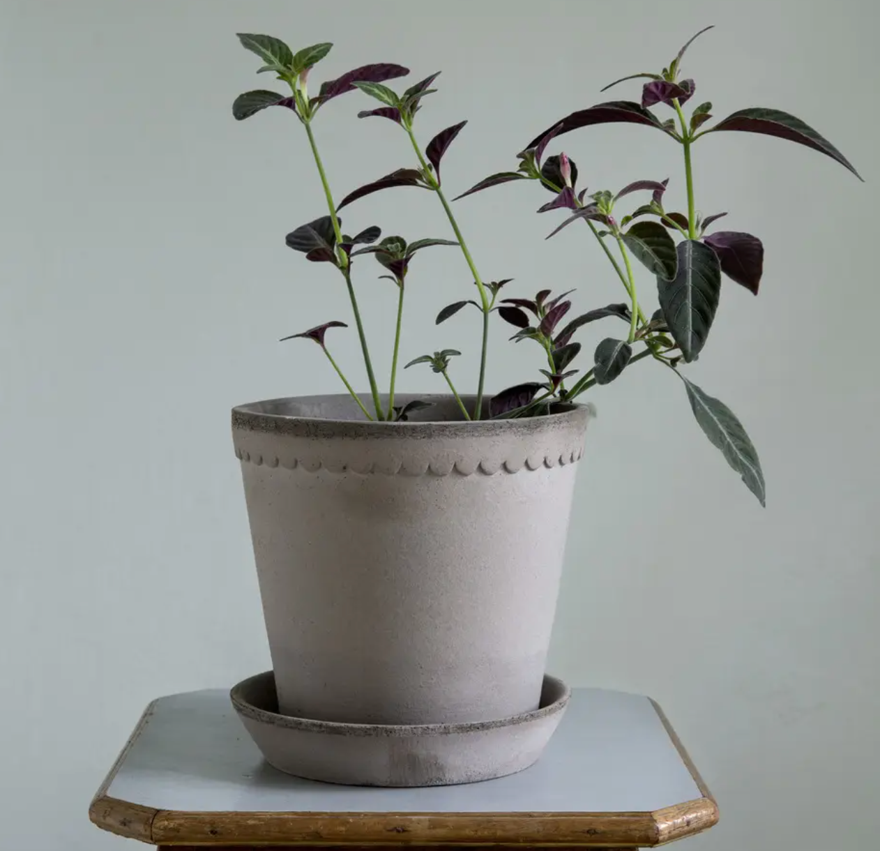 Vaso in terracotta Helena /grigio