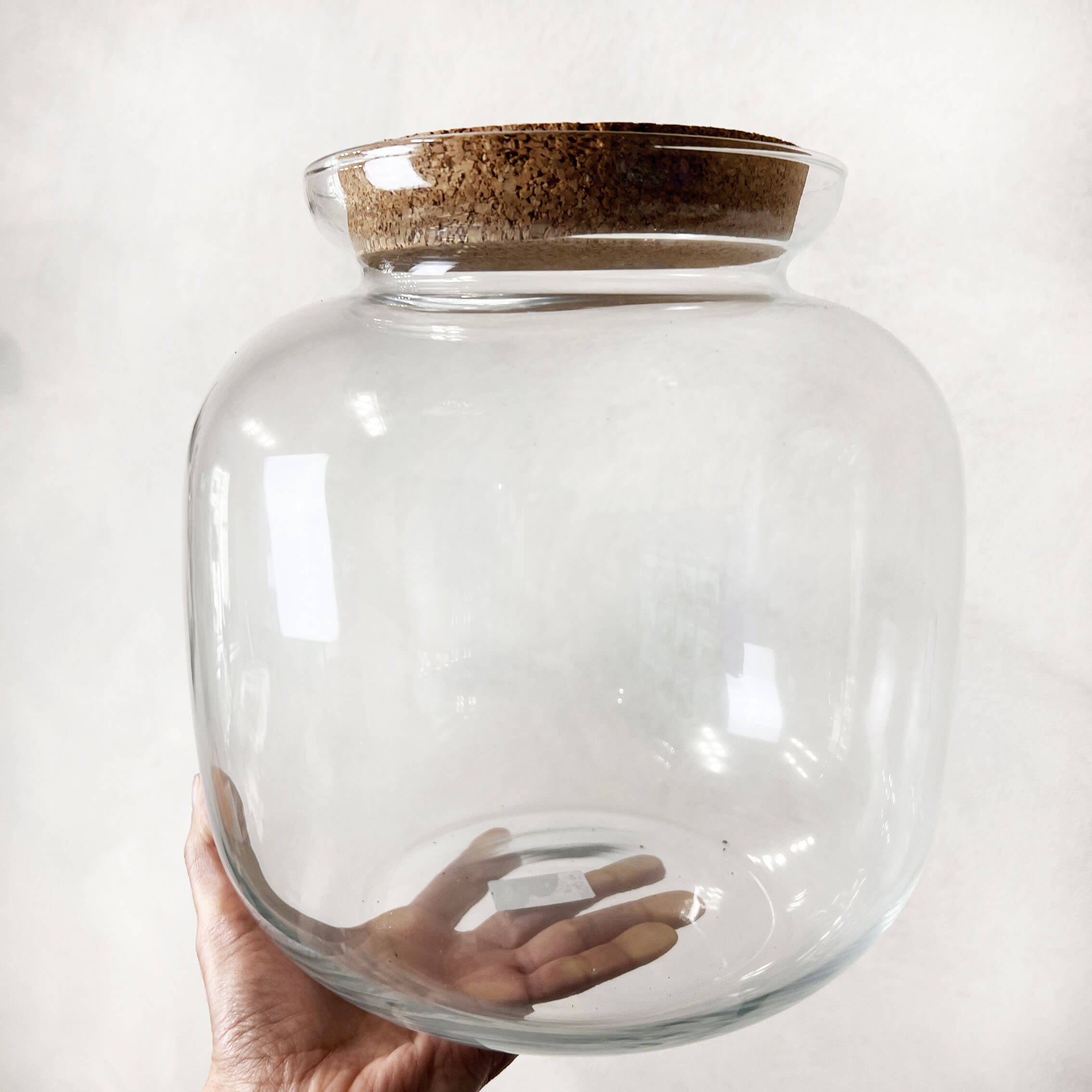 Contenitore in vetro per terrari /Botticella