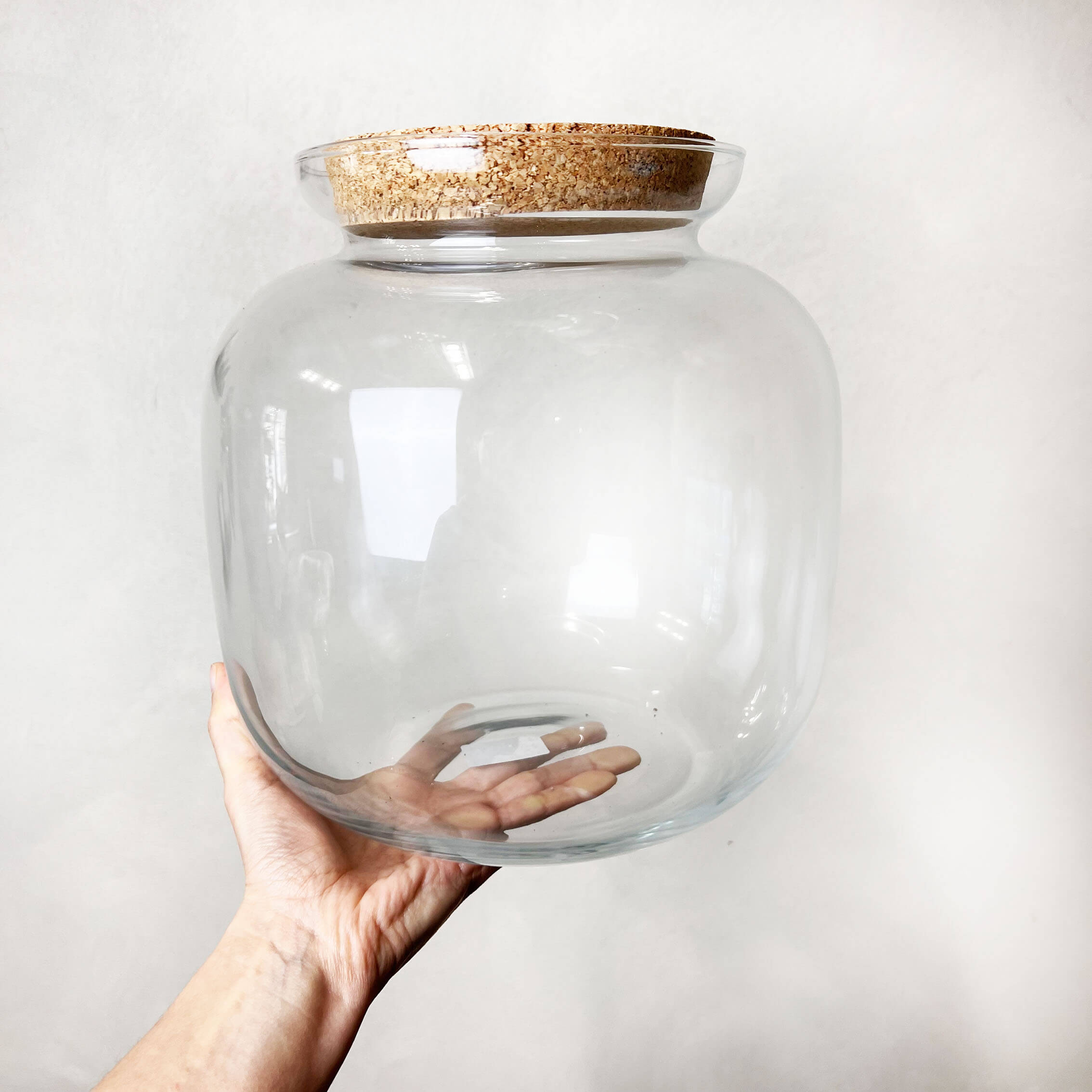 Contenitore in vetro per terrari /Botticella