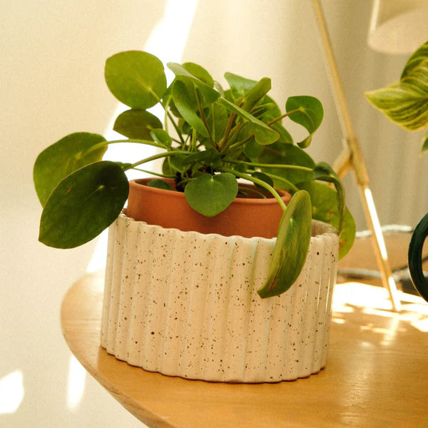Vaso autoirrigante Paula - Bianco granulato