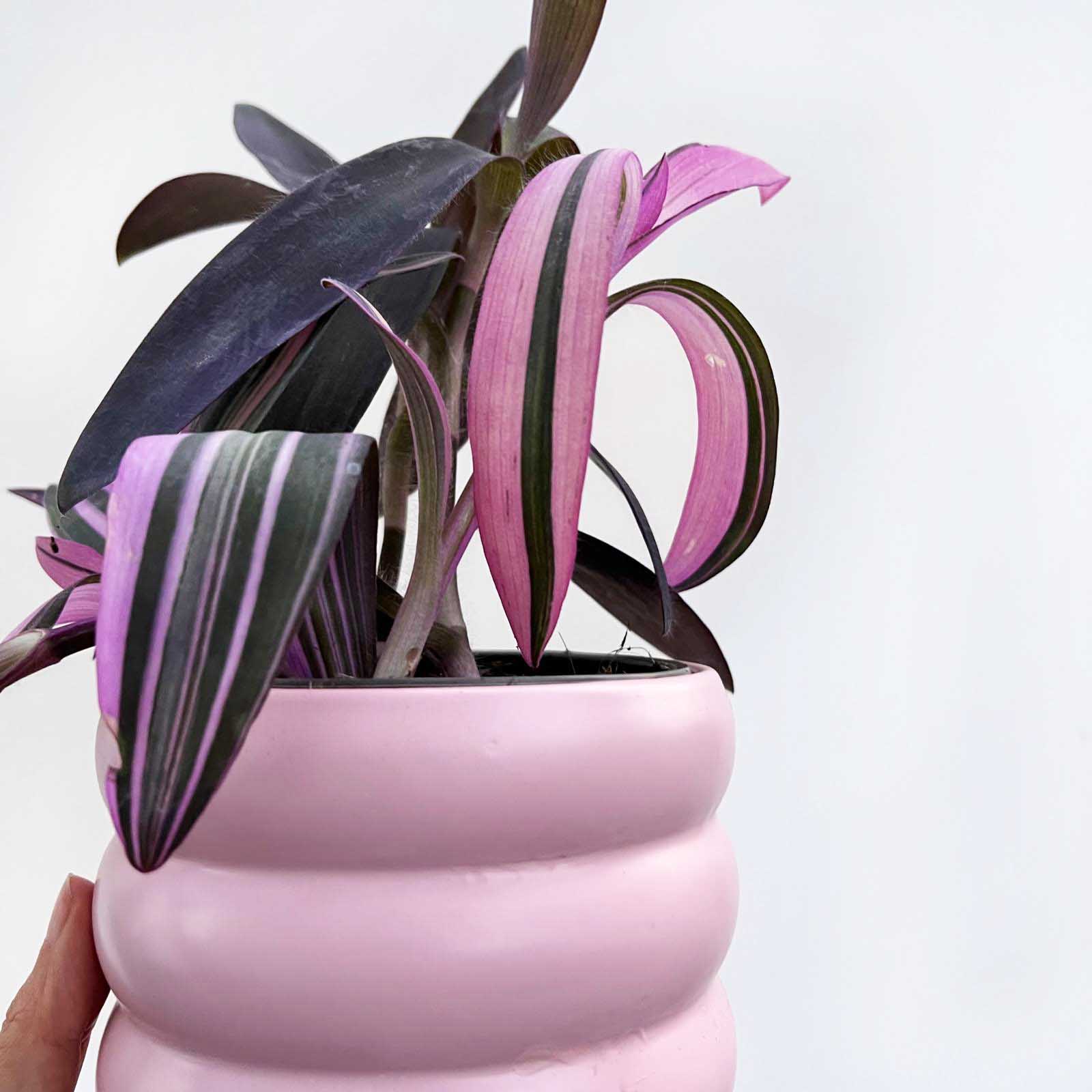 Vaso in ceramica /Milla