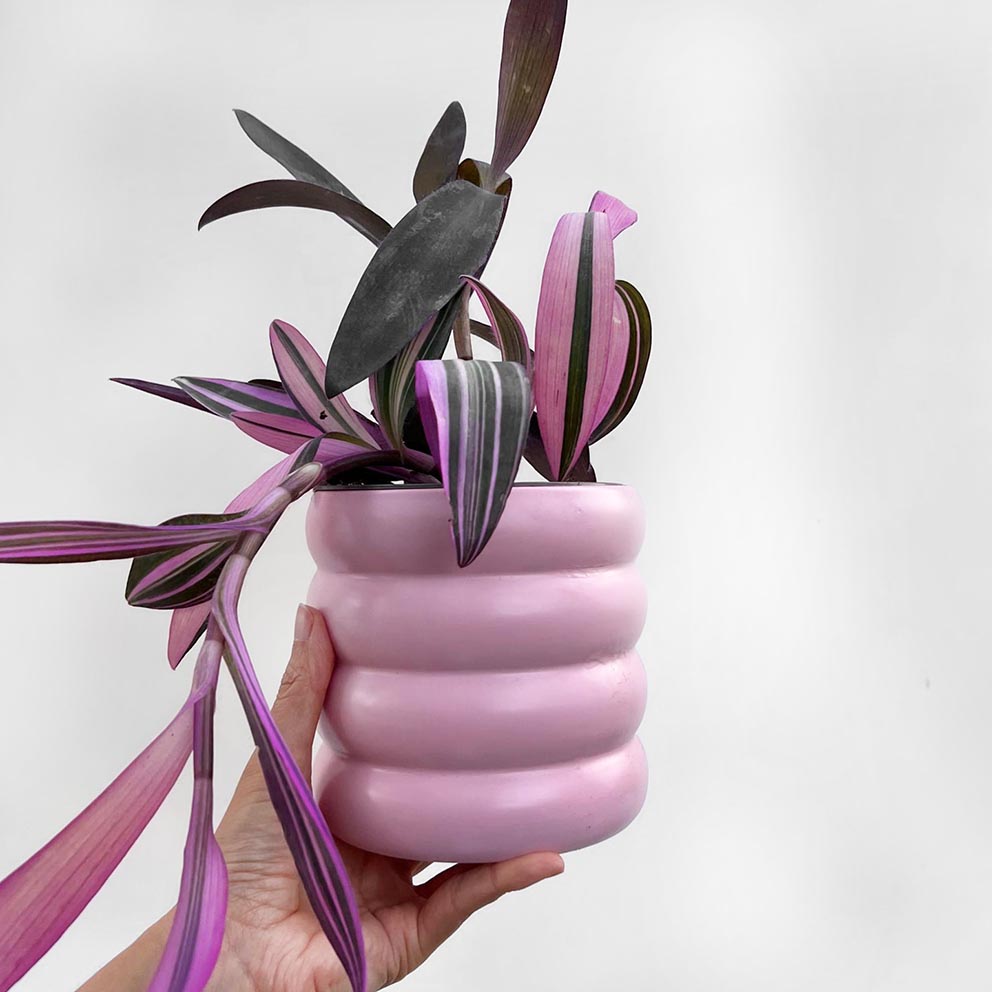 Vaso in ceramica /Milla