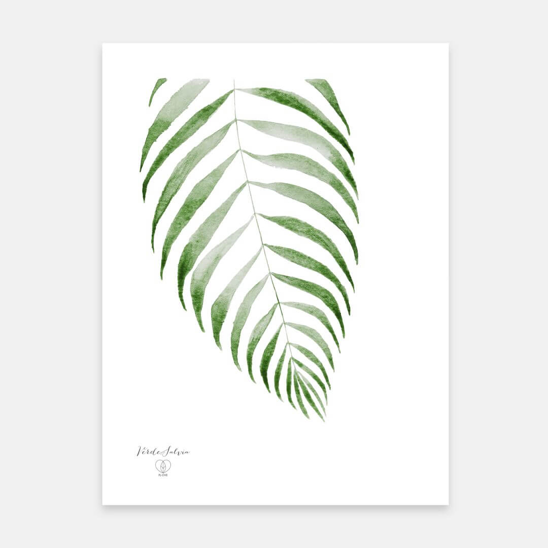 Libro + Stampa botanica