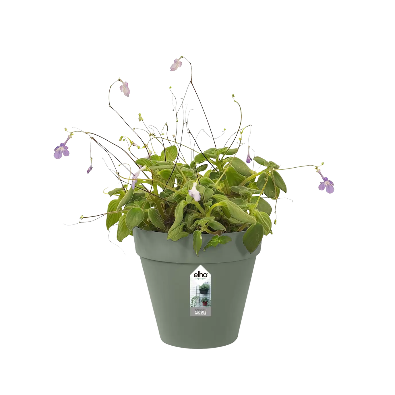 Loft green wall single /verde